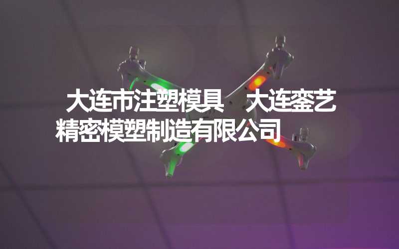 大连市注塑模具 大连銮艺精密模塑制造有限公司